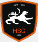 HSG Holding Graz